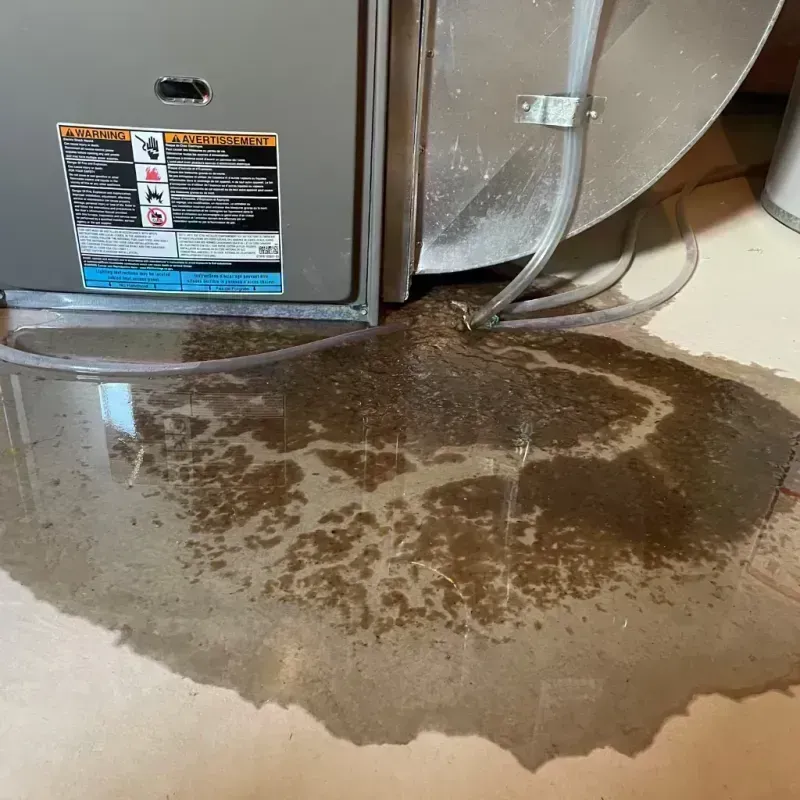 Appliance Leak Cleanup in Prince George County, VA